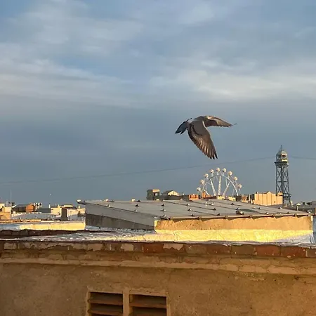 Atico Con Terraza Apartmán