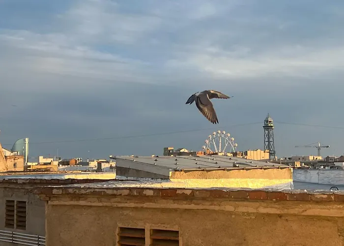 Atico Con Terraza Apartamento